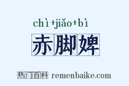 赤脚婢是什么意思的图片